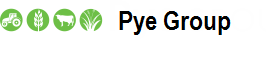 Pye Group