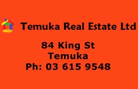 Professionals Temuka Real Estate